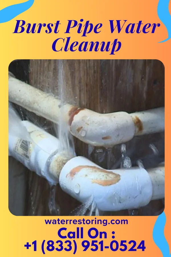 Burst Pipe Water Cleanup in Frostproof, FL