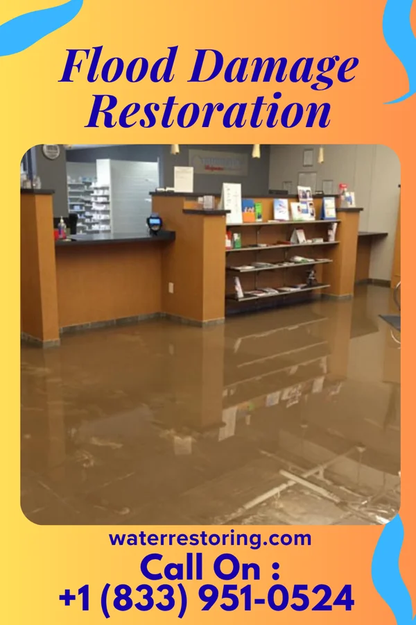 Flood Damage Restoration in Frostproof, FL